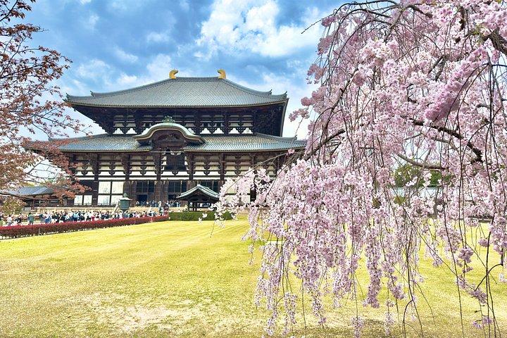 大阪＆奈良1日プライベートバンで行くローカルエキスパートガイド付き