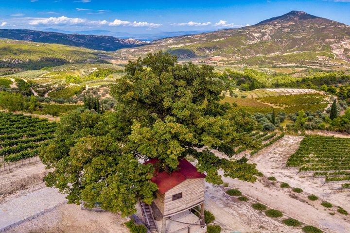 Wine Tasting Tour Ancient Nemea - Argos