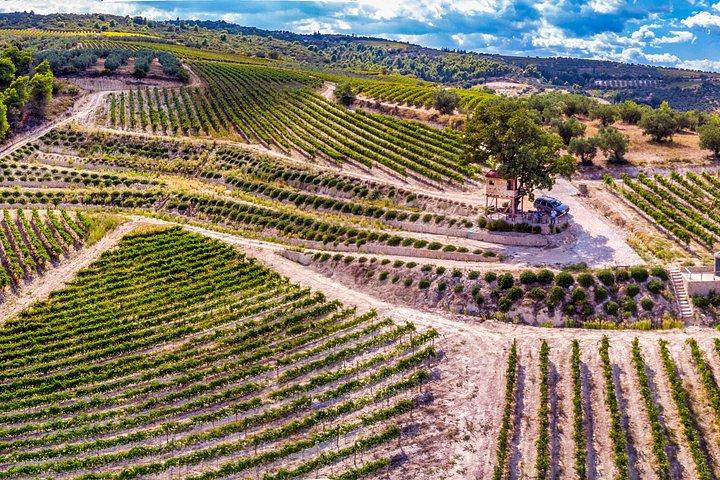 Wine Tasting Tour Ancient Nemea - Argos