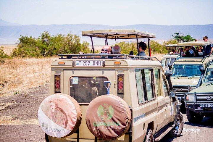 Ngorongoro Crater-dagtrip
