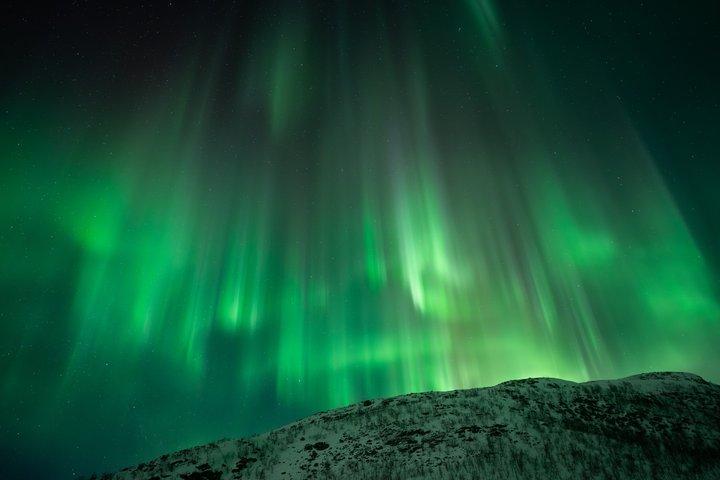 Tromsø : オーロラ・バイ・ミニバス - 暖かい夕食と無料写真！
