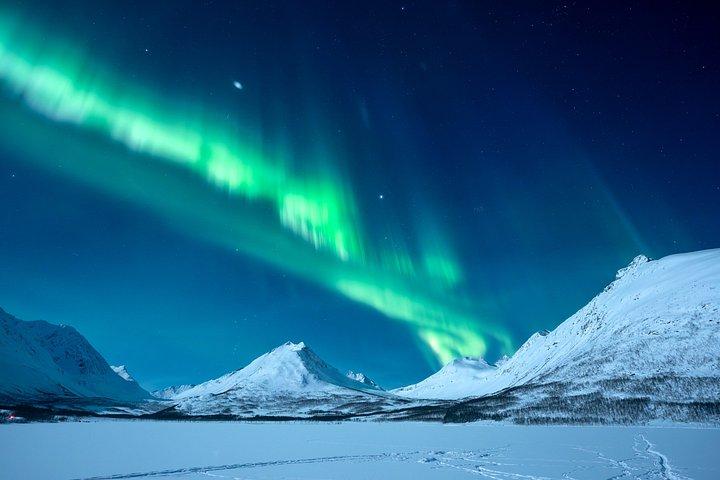 Tromsø : オーロラ・バイ・ミニバス - 暖かい夕食と無料写真！