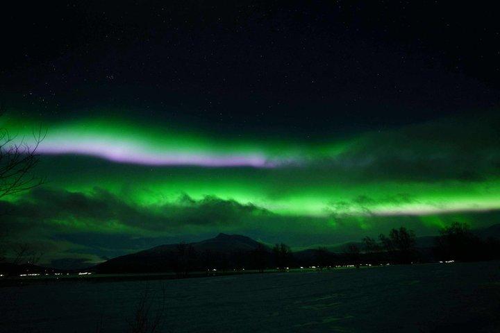 Tromsø : Nordlichterjagd — Kleingruppentour