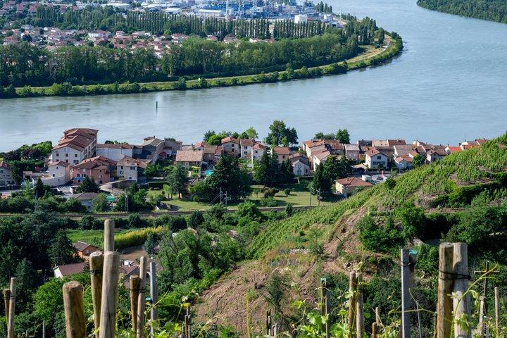 Private Weintour im nördlichen Rhônetal ab Lyon