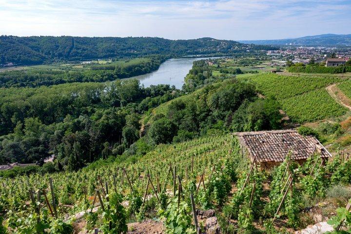 Private Weintour im nördlichen Rhônetal ab Lyon