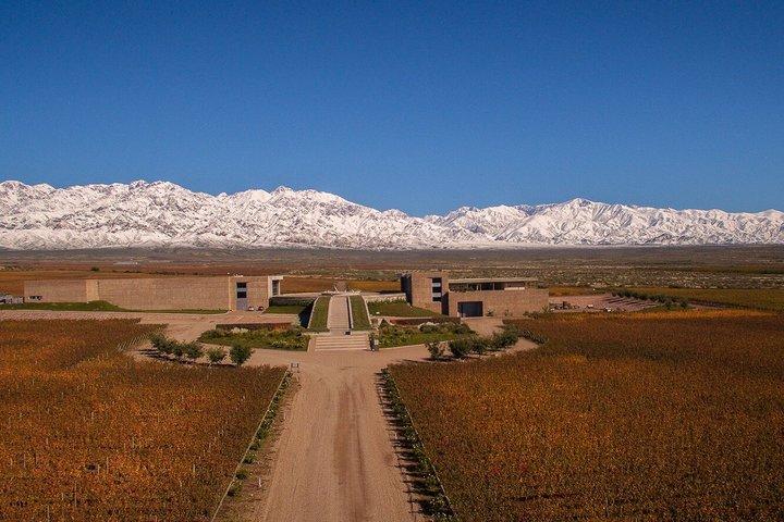 Clos de los 7 Experience. Winery Visits, Lunch & Private Transfer