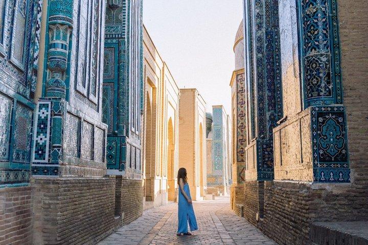 Samarkand from Tashkent by High Speed Train Private One Day Tour