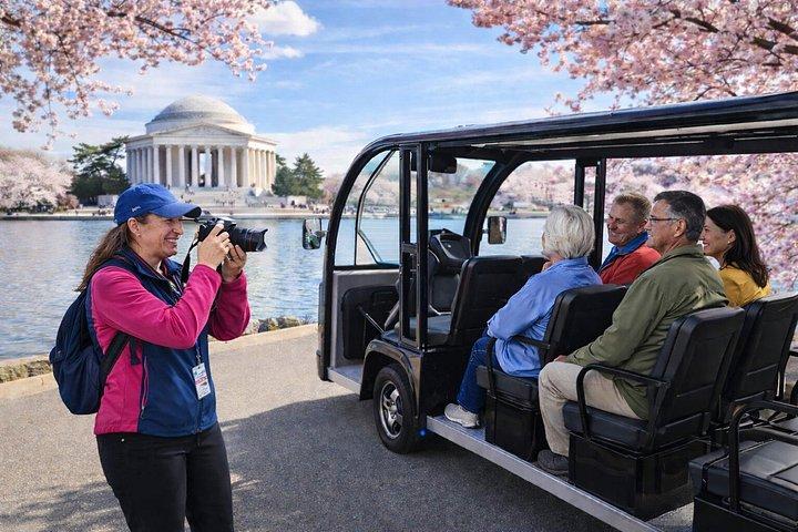 Washington DC : Visite guidée facile des monuments par panier électronique