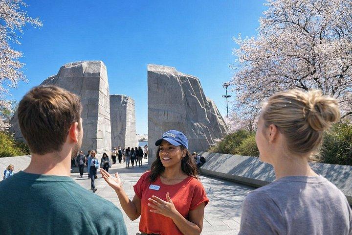 Washington DC : Visite guidée facile des monuments par panier électronique