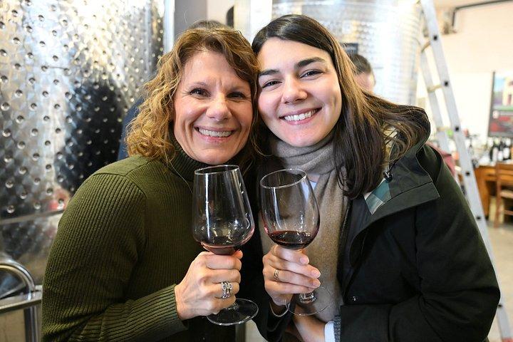 It's Wine Time! 2 wineries & farm-to-table lunch—max 8 pp