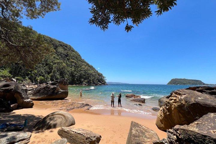 Sydney: Ku-ring-gai Chase Private Tour with Bushwalk & Swim
