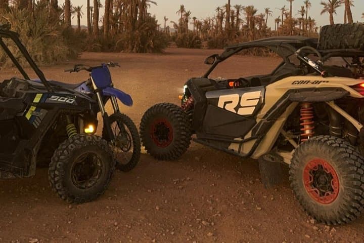 Explore the Marrakech Palm Desert in Buggy