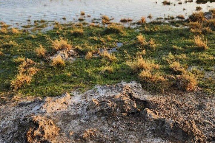 Escursioni di due giorni al lago Abbé e al lago Assal