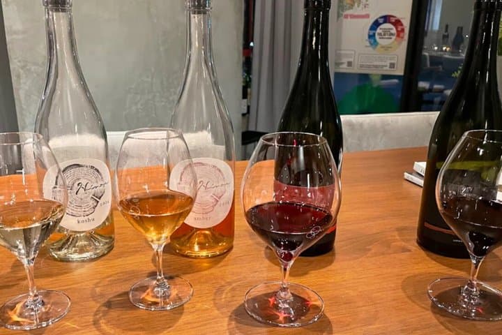 Discover Japanese Wine (not Sake): Guided Tasting in Tokyo