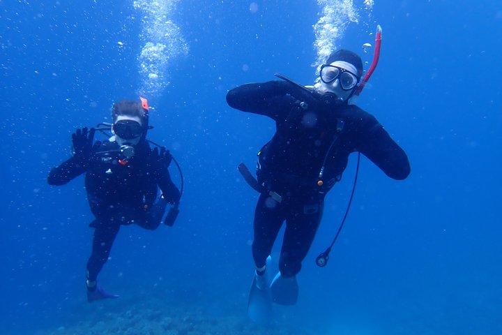 Experiência de mergulho na Ilha de Ishigaki ~ Aluguel de equipamento incluído ~ Chuveiro disponível ~ Foto grátis ~