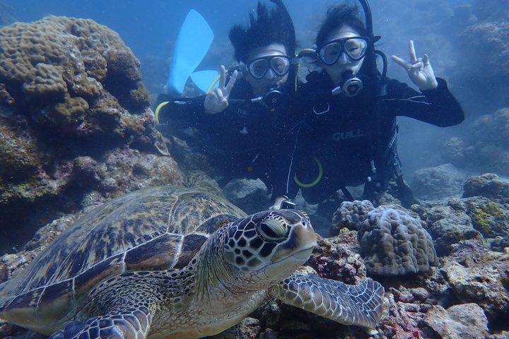 Experiência de mergulho na Ilha de Ishigaki ~ Aluguel de equipamento incluído ~ Chuveiro disponível ~ Foto grátis ~