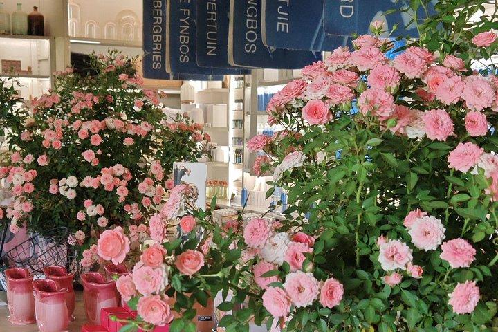 Franschhoek, Stellenbosch and Babylonstoren Wine Tour