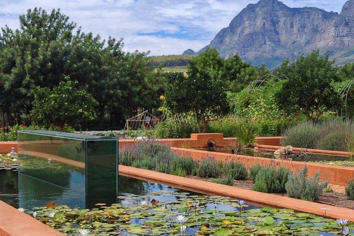 Franschhoek, Stellenbosch and Babylonstoren Wine Tour