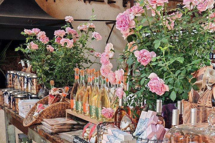 Franschhoek, Stellenbosch and Babylonstoren Wine Tour
