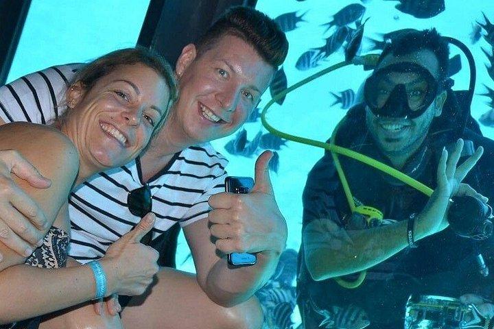 マカディ湾からのパノラマセミサブマリンアドベンチャーとシュノーケリング