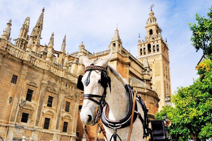 Sevilla Kathedrale & Giralda Tour mit Priority Tickets