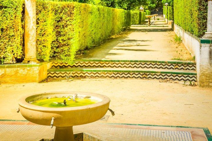 Dagelijkse Alcazar-tour