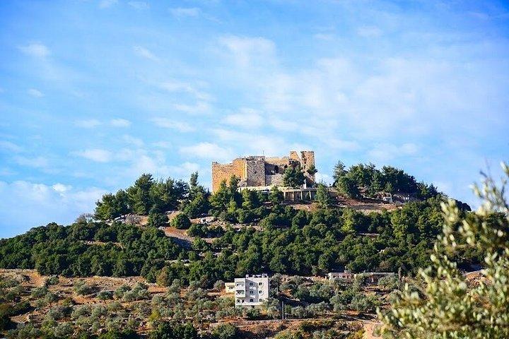 Private Tour to Jerash &Ajloun and Um Qais From Amman
