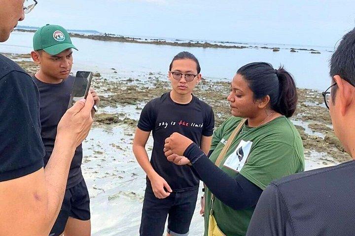 JungleWalla Desaru Beachlife & Tidepool Discovery