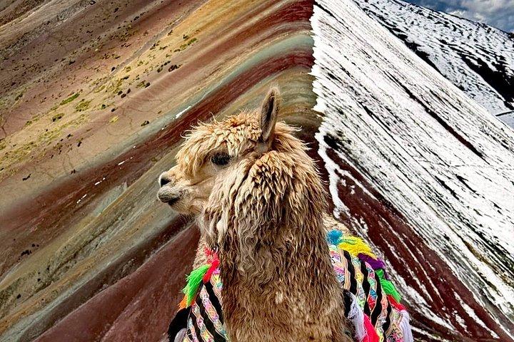 Mountain of Colors in group