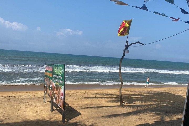 スターホテル、サファリ＆エラ付きスリランカプライベートツアー7日間