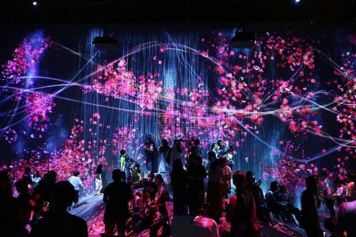 Private Tour durch Tokio: teamLab Planets & Tsukiji-Markt
