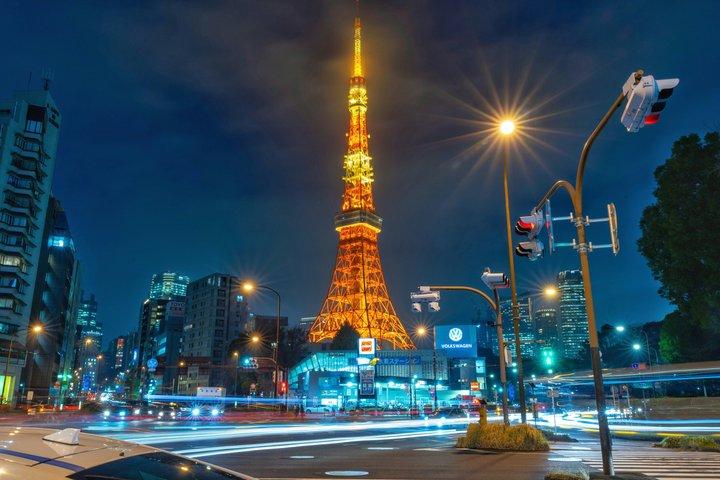 東京プライベートツアー：チームラボボーダレス＆東京シティビュー