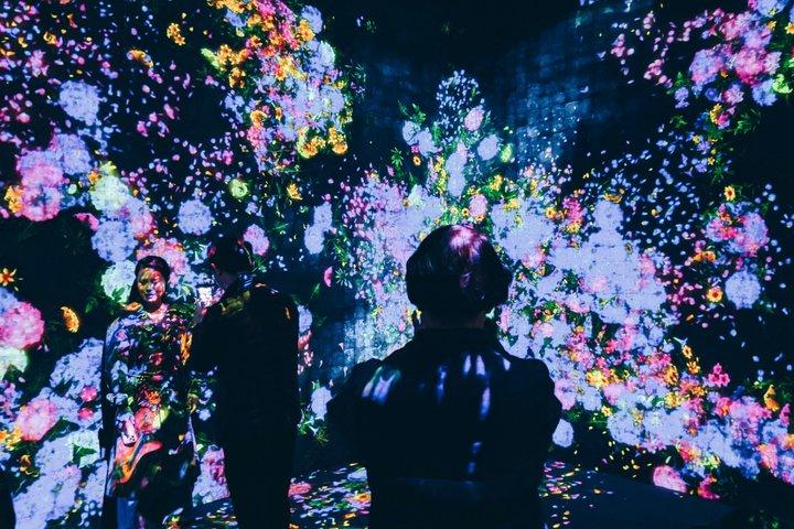 東京プライベートツアー：チームラボボーダレス＆東京シティビュー