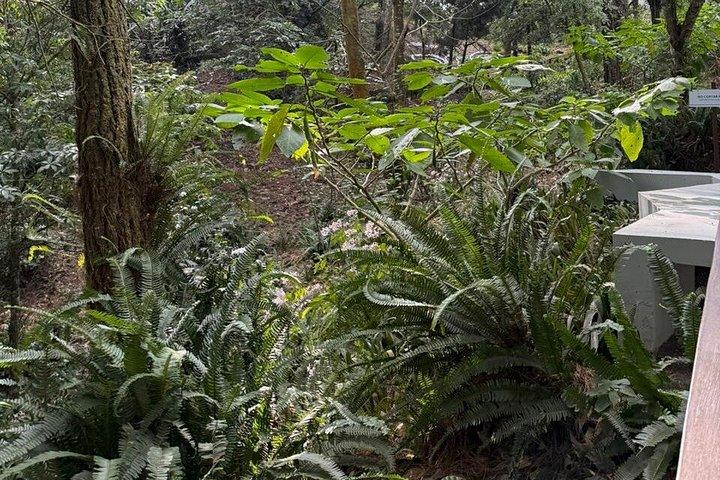 サンサルバドル火山と魅力的な歴史地区