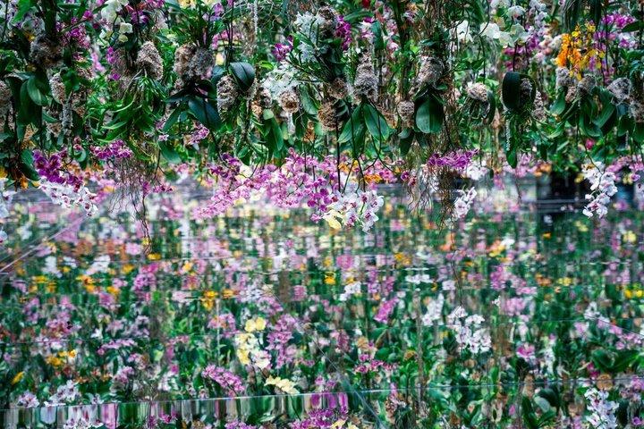 Private Tour durch Tokio: teamLab Planets & Tsukiji-Markt