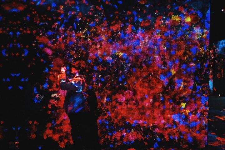 Excursão privada em Tóquio : teamLab Borderless & Imperial Palace