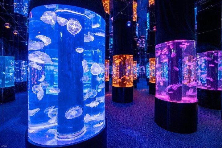 Hong Kong Cube O Discovery Park Biglietto