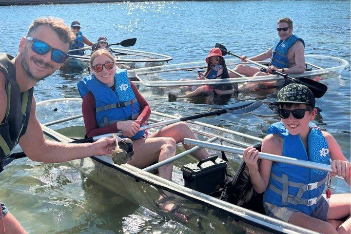 2 Stunden Clear Kayak Mangrove Eco Tours, St Pete