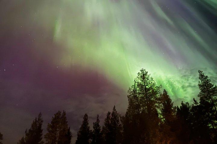 PRIVATDIENST Nordlichter Abenteuer