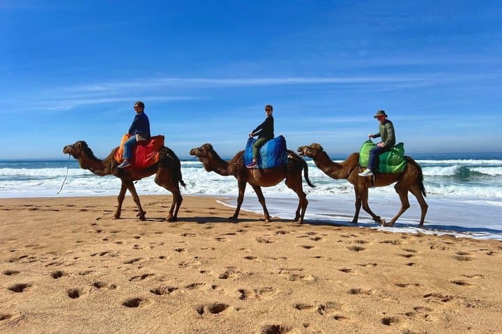 Tangier Authentic Full-Day Private Tour with Camel Ride