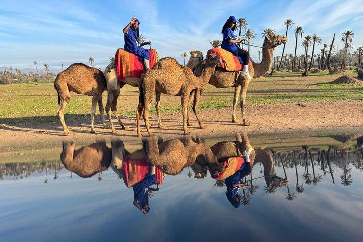 Camel Ride a Marrakech con Hotel-Pick up e drop-off inclusi