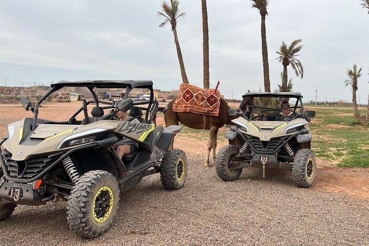 Excursion 1 buggy hour and 1 camel hour