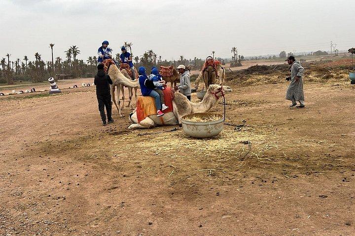 Excursion 1 buggy hour and 1 camel hour