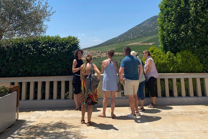 Kavala : Weinguttour & Weinprobe mit Essenspaarungen in Kavala