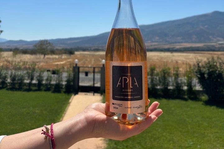 Kavala : Weinguttour & Weinprobe mit Essenspaarungen in Kavala