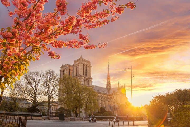 Paris: Notre Dame Tour & Reserved Entrance