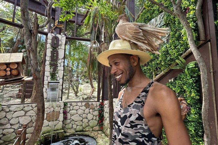 リーフシュノーケリング、ローズアイランドのウミガメ観察、プライベートビーチ
