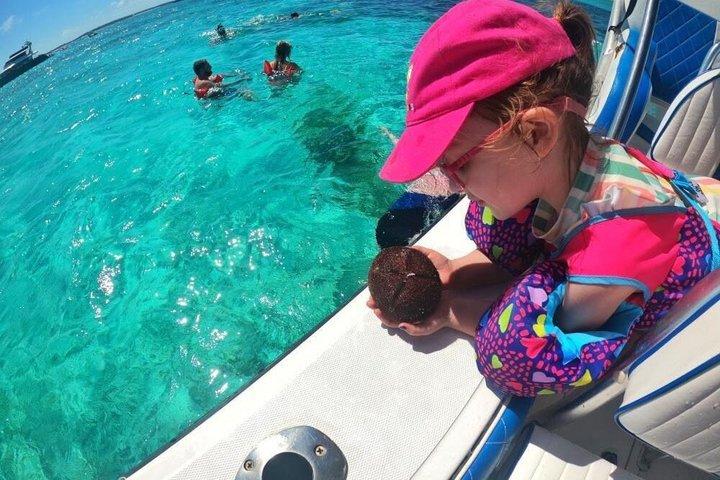 ローズ アイランド アドベンチャー : シュノーケル、ウミガメ、プライベート ビーチ