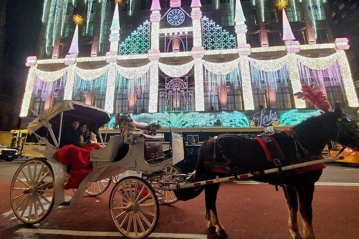 プライベートガイド付き馬車がセントラルパークを駆け抜ける
