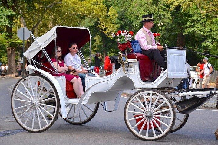 プライベートガイド付き馬車がセントラルパークを駆け抜ける